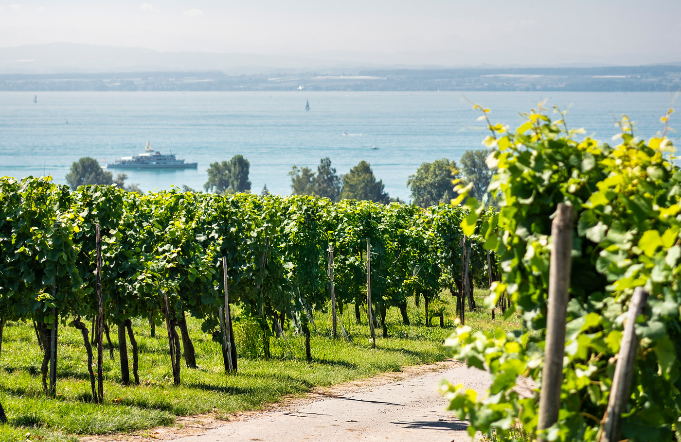 6-daagse reis van Maaskant Reizen naar Duitsland, per comfort-class touringcar; De Bodensee – Sfeervol genieten in Zuid-Duitsland Met o.a. Lindau, bloemeneiland Mainau & de Rijnwaterval