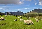 dagtotdag_b0iekk_001_belfast_ierse_kusten.jpg