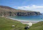 algemeen_b0iekk_001_belfast_ierse_kusten.jpg