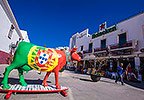 algemeen_b0prwt_001_algarve_overwinteren.jpg