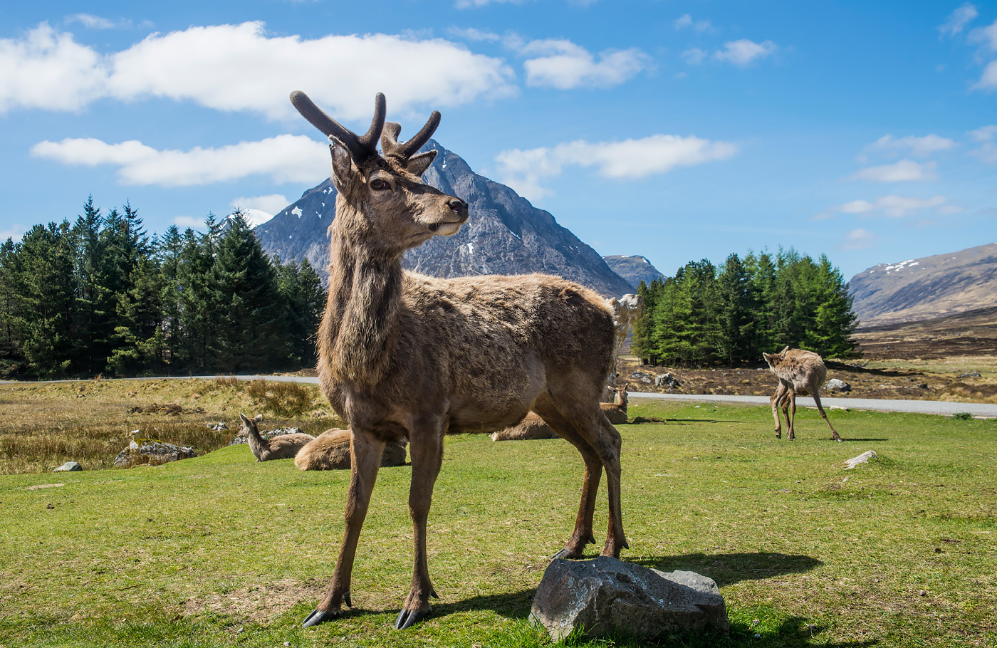 Met Maaskant Reizen per comfort-class touringcar maken we de Engeland & Schotland Rondreis Met York, Edinburgh, Fort William, Eiland Mull en Lake District!
