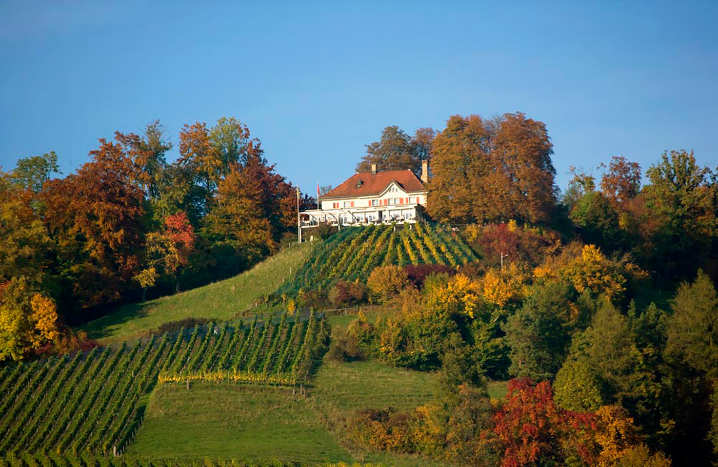 6-daagse reis van Maaskant Reizen naar Duitsland, per comfort-class touringcar; De Bodensee – Sfeervol genieten in Zuid-Duitsland Met o.a. Lindau, bloemeneiland Mainau & de Rijnwaterval