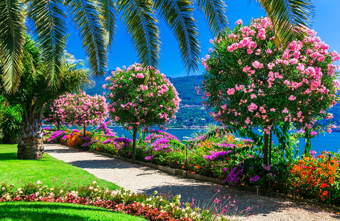 Comfort-class touringcar, busreis, Maaskant Reizen, Met o.a. Cannobio, Stresa, Orta San Giulio en de Borromeïsche eilanden
