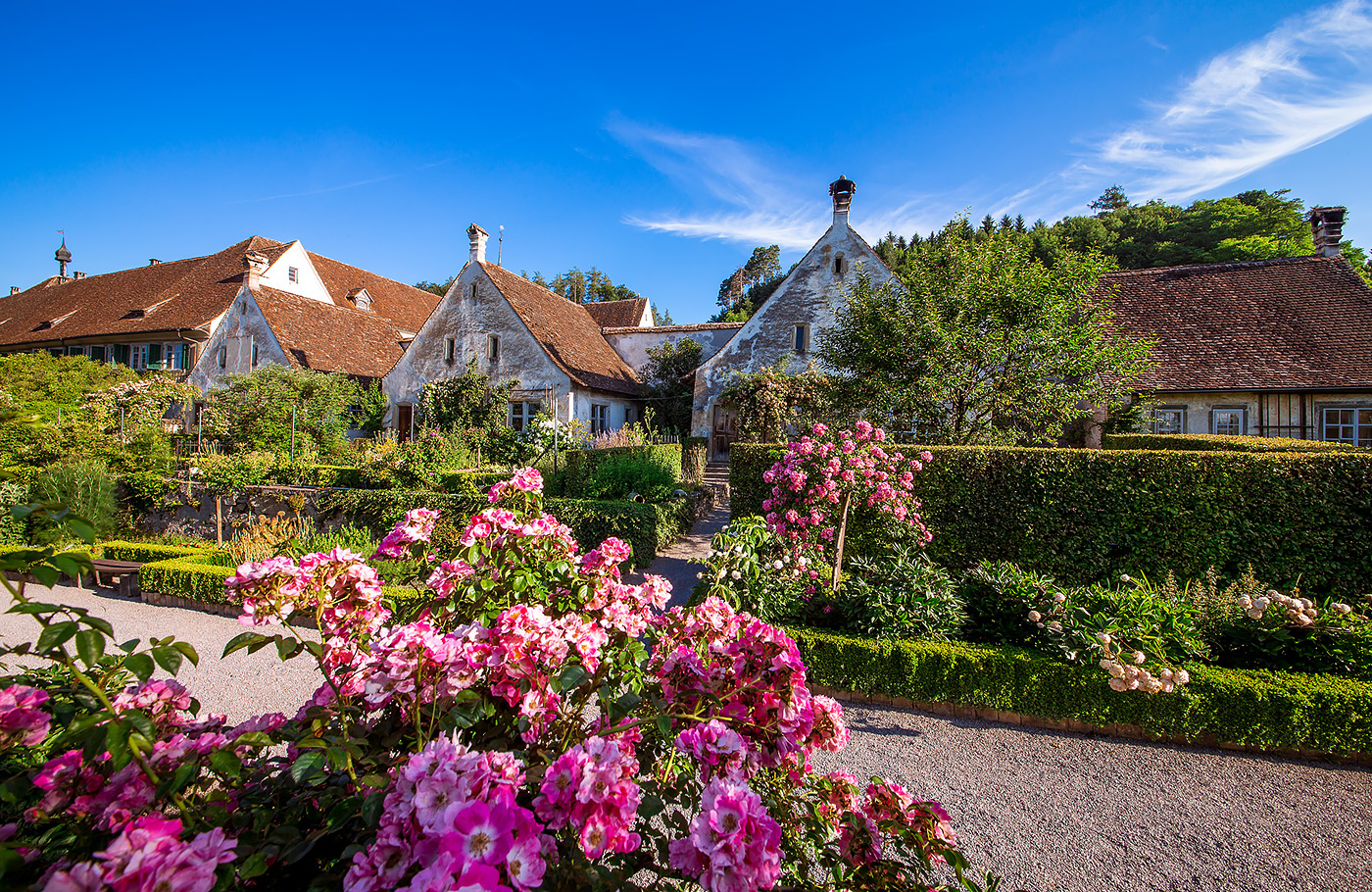 6-daagse reis van Maaskant Reizen naar Duitsland, per comfort-class touringcar; De Bodensee – Sfeervol genieten in Zuid-Duitsland Met o.a. Lindau, bloemeneiland Mainau & de Rijnwaterval