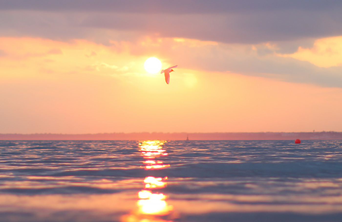 Met Maaskant Reizen per comfort-class touringcar naar Cornwall met Isle of Wight Met o.a. Southampton, Exeter, St. Michael's Mount, Tintagel, Land's End, Dartmoor en Plymouth.