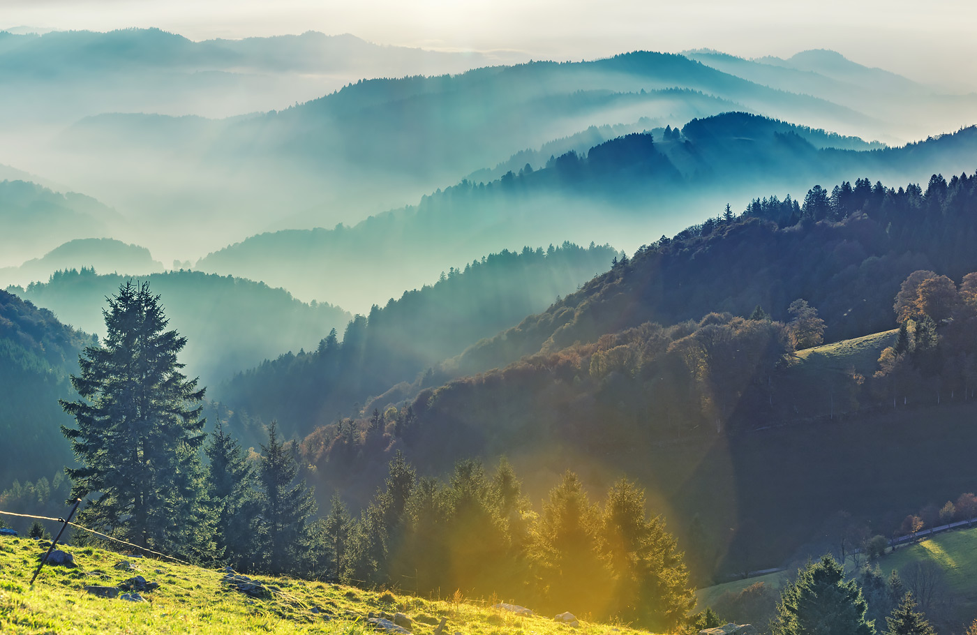 Busreis, Zwarte Woud, Maaskant Reizen