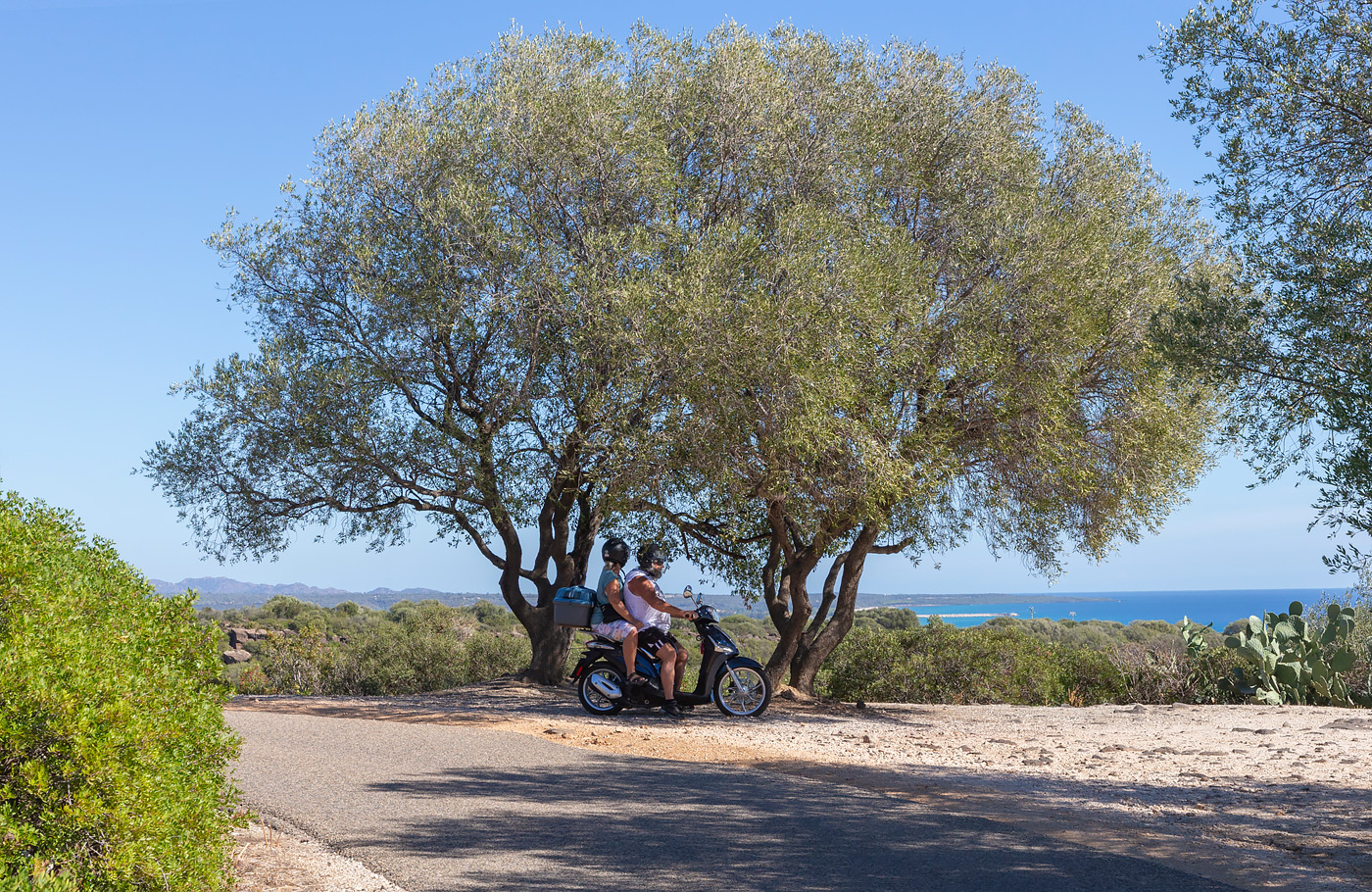 rondreis per comfort-class touringcar Met o.a. Cap Corse, Les Calanches, Ajaccio, Bonifacio, Nuoro, La Maddalena en de Costa Smeralda
