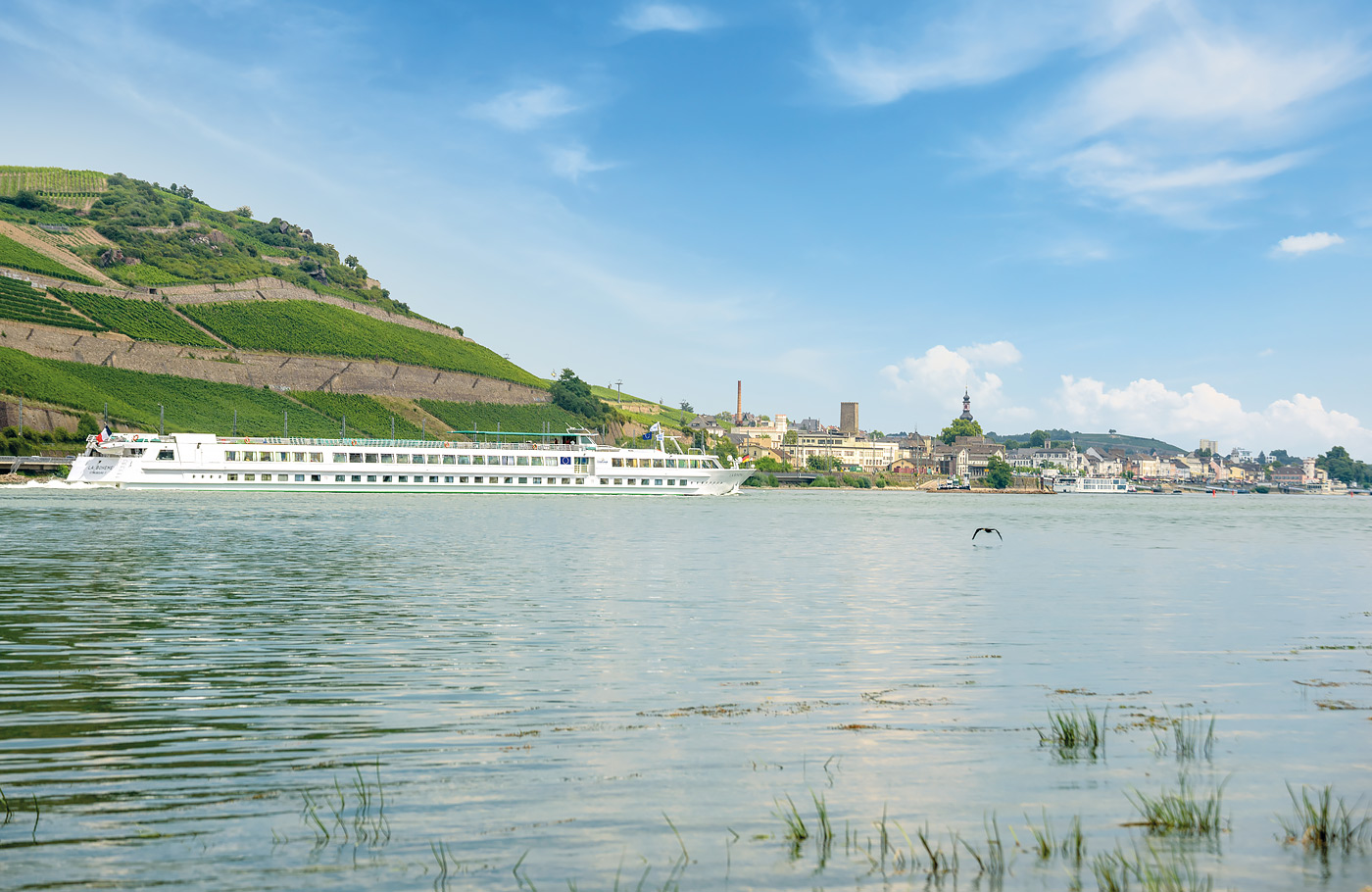 Cruise; de Romantische Rijn Riviercruise Van Straatsburg naar Koblenz en Rüdesheim