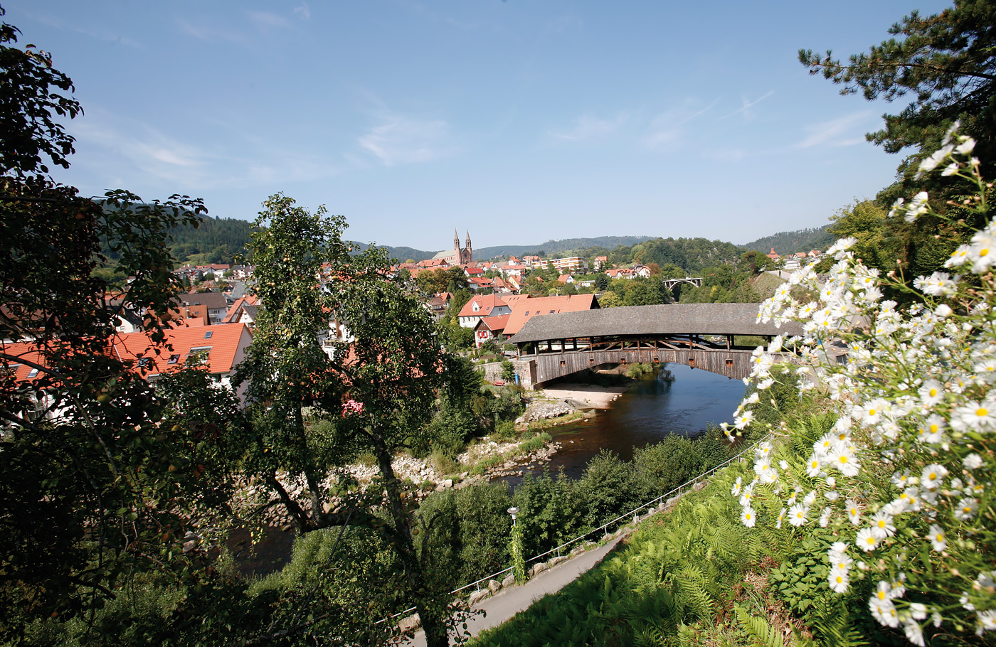 Busreis, Zwarte Woud, Maaskant Reizen