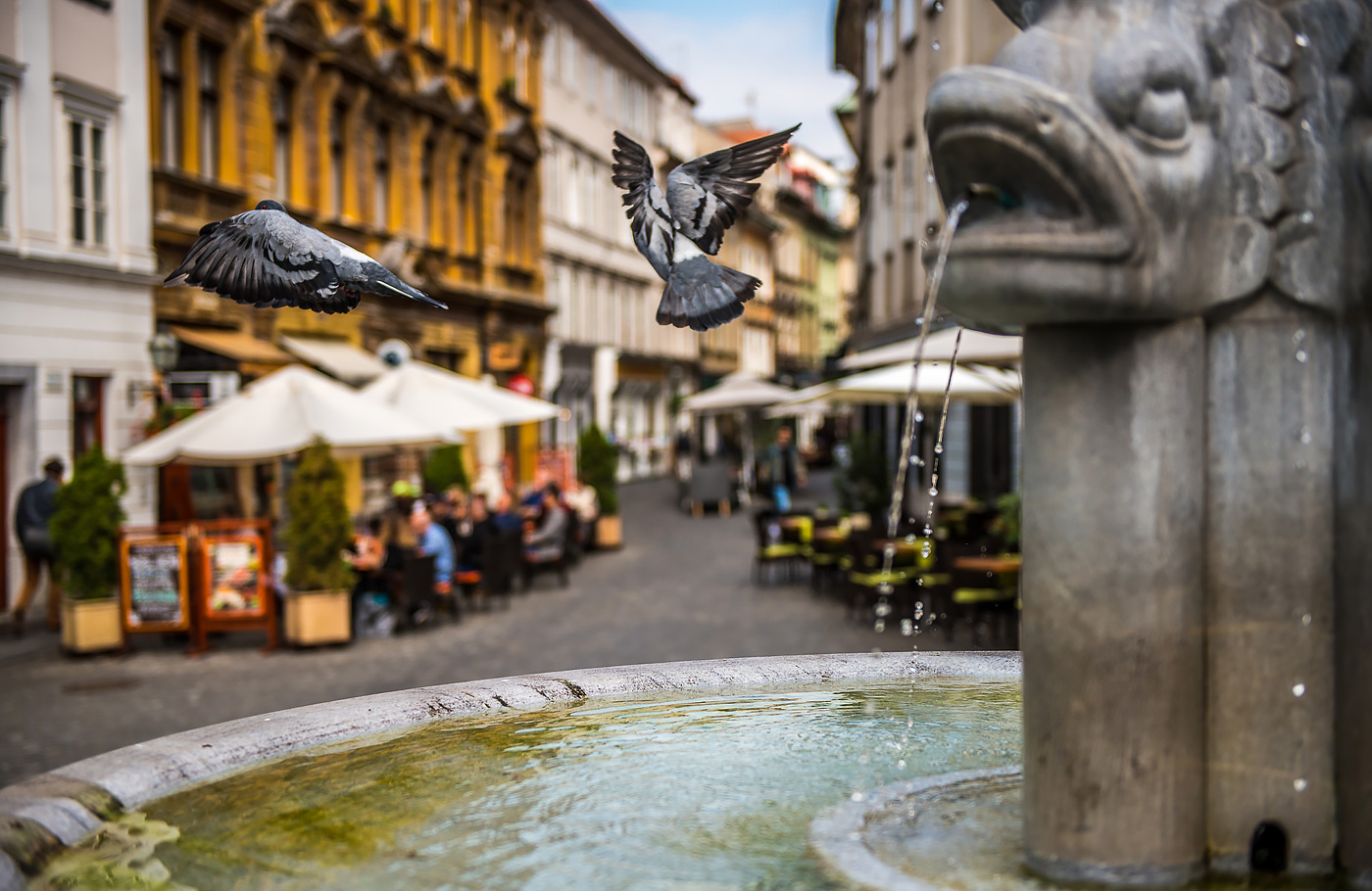Maaskant Reizen, rondreis, comfort-class touringcar, Cultuurrondreis Slovenië, Italië & Kroatië Met o.a. Ljubljana, Triëste, eiland Krk & de parels van Istrië