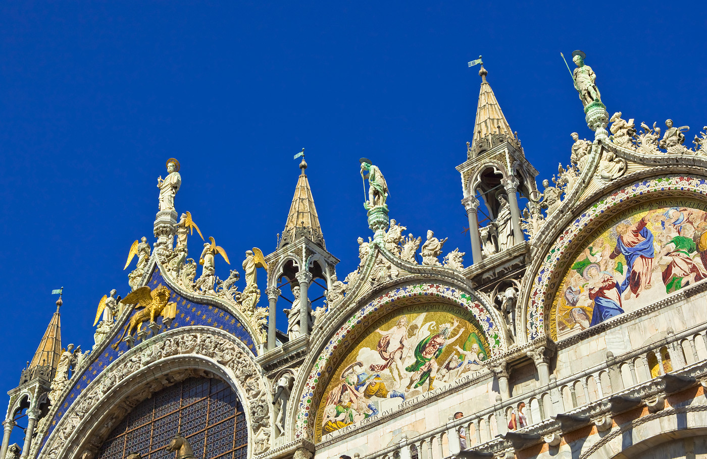 busreis veneto met o.a. verzorgde excursies naar o.a. Treviso, Padua, Vicenza, Prosecco-route en Venetië