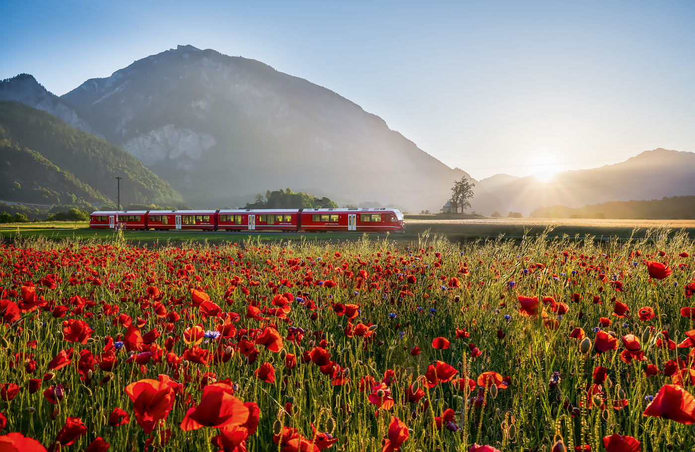 Per comfort-class touringcar van Maaskant Reizen naar Hoogtepunten van Zwitserland, 12 daagse ultieme rondreis  Met o.a. 3 treinreizen, Grindelwald, Zermatt, Davos, Chur, Lago Maggiore en Zürich