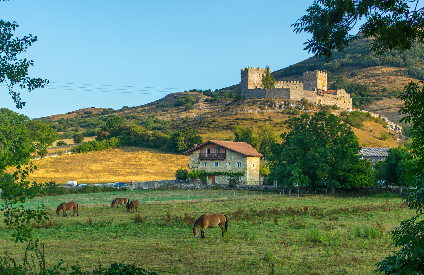 Met Maaskant Reizen per comfort-class touringcar naar Asturië, Cantabrië en Galicië Met o.a. Bilbao, Picos de Europa, Oviedo, Santiago de Compostela, León, Burgos en San Sebastian.