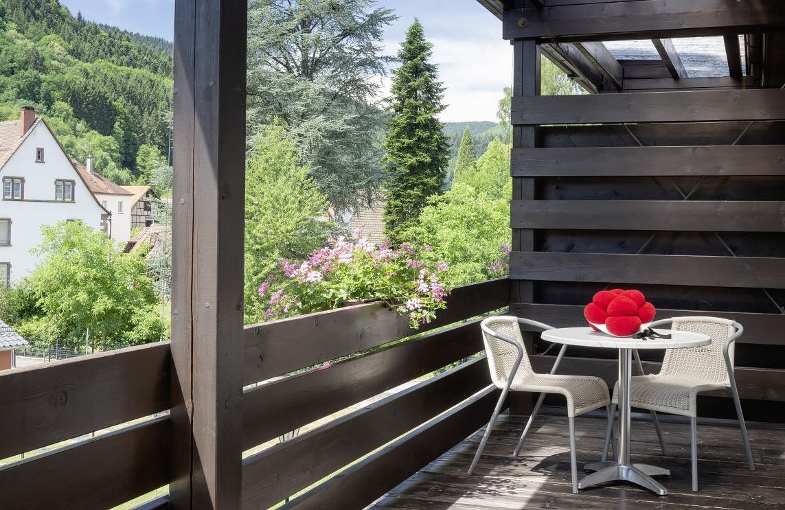 Busreis, Zwarte Woud, Maaskant Reizen