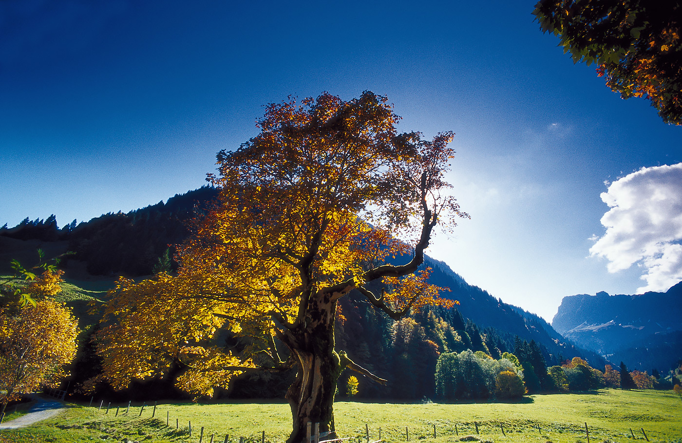 Per comfort-class touringcar van Maaskant Reizen naar Hoogtepunten van Zwitserland, 12 daagse ultieme rondreis  Met o.a. 3 treinreizen, Grindelwald, Zermatt, Davos, Chur, Lago Maggiore en Zürich