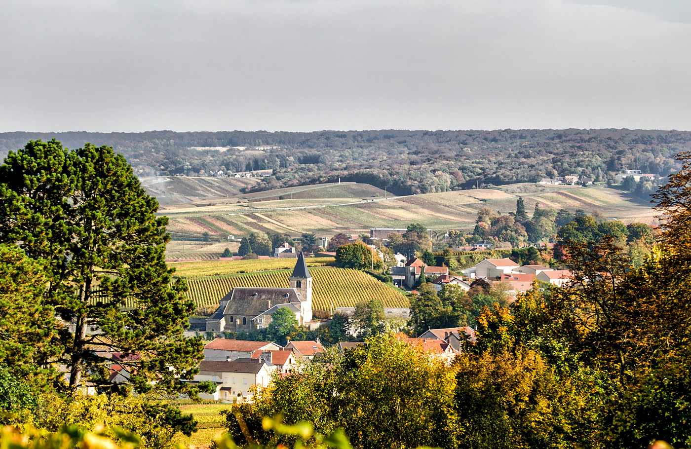 5-daagse reis per comfort-class touringcar van Maaskant Reizen; De Smaak van de Champagne Met o.a. Reims, Metz en Epernay