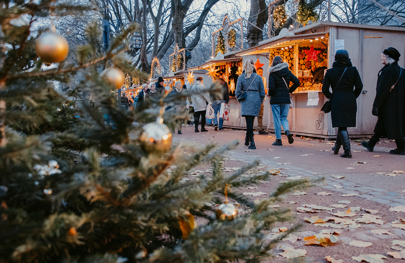 Kerstmarkt, kerstshoppen in Duesseldorf, dagtocht