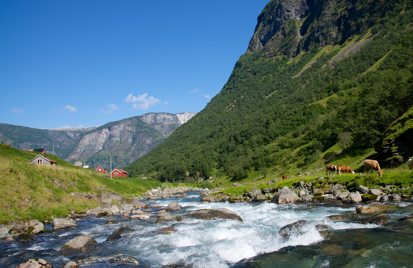 Maaskant Reizen, rondreis Noorwegen per bus, boot en trein Met o.a. Bergen, Geirangerfjord, Trollstigen en twee prachtige treintrajecten!