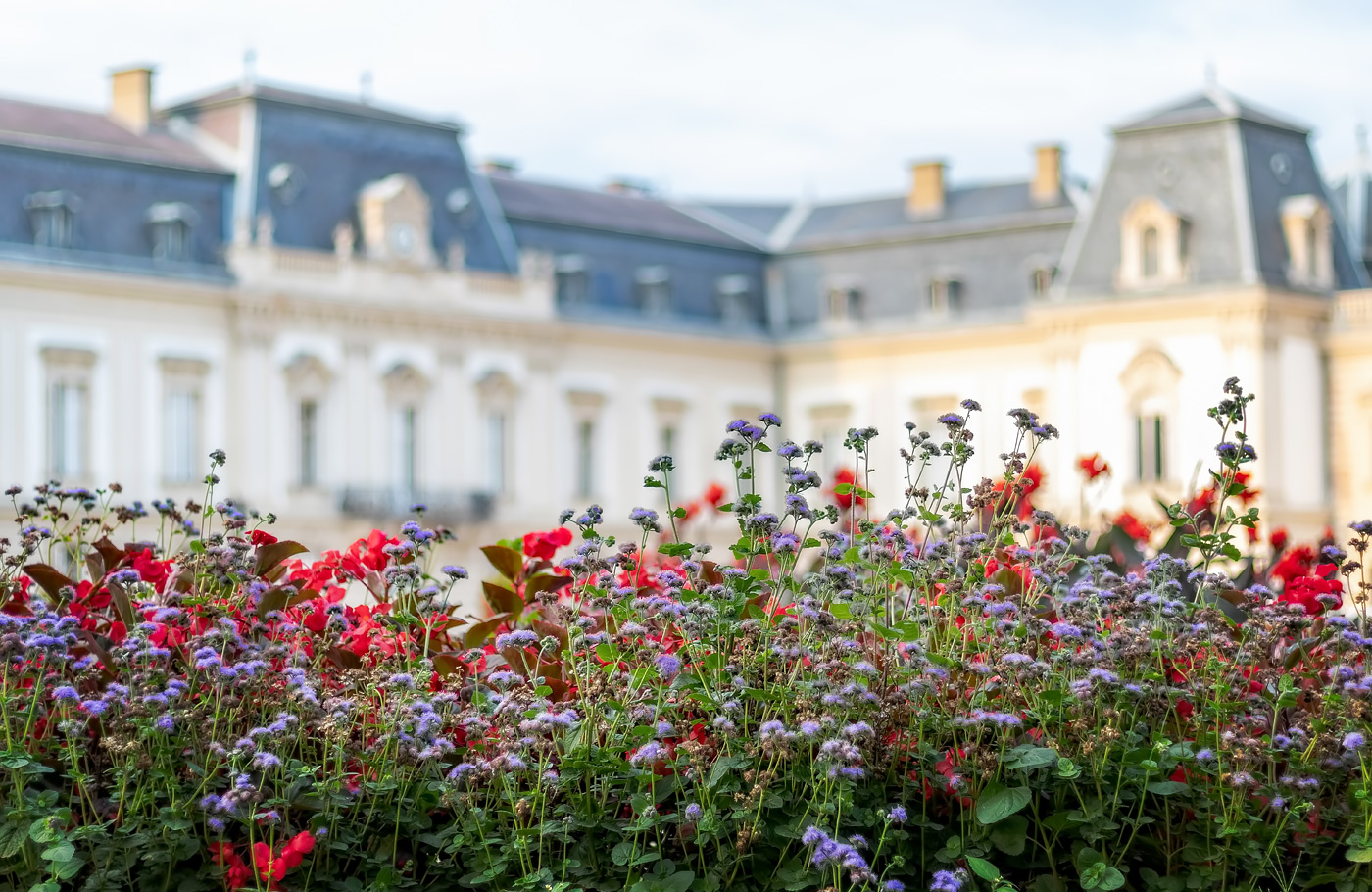 Met Maaskant Reizen, per comfort-class touringcar naar Betoverend Boedapest Met o.a. Boedapest, Donauknie, Szentendre en Kasteel Gödöllö
