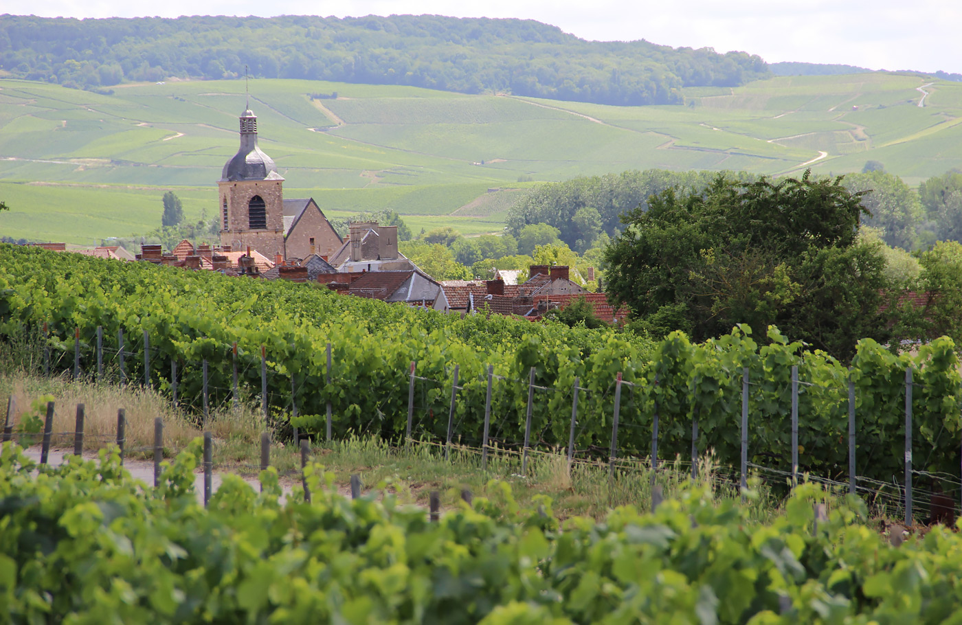 5-daagse reis per comfort-class touringcar van Maaskant Reizen; De Smaak van de Champagne Met o.a. Reims, Metz en Epernay