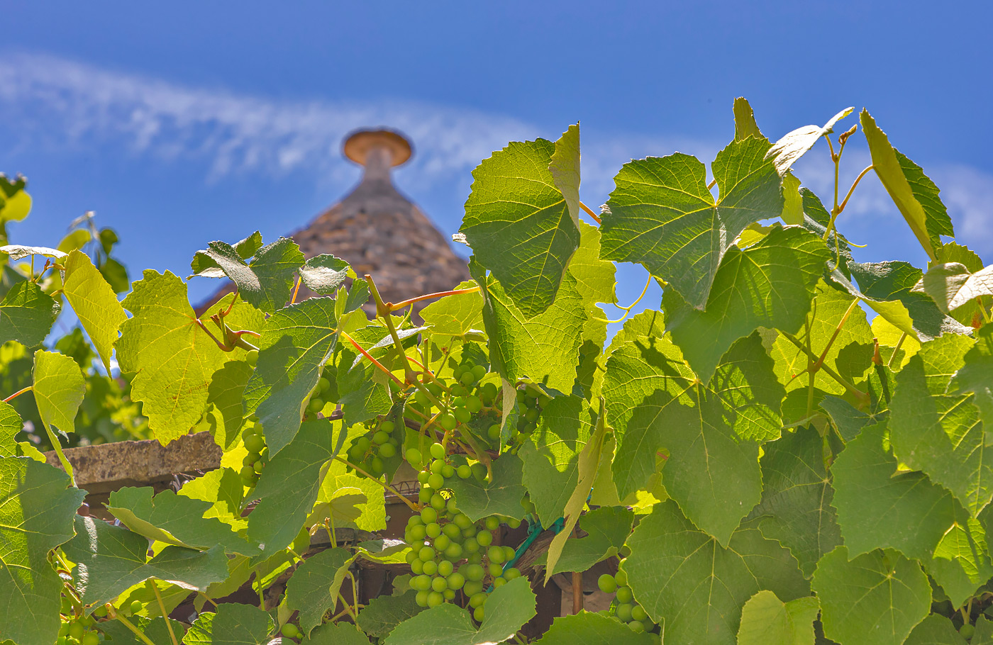 Rondreis Apulië, Maaskant Reizen, rondreis per luxe comfort-class touringcar we bezoeken o.a. Lecce, Alberobello, Cisternino, Monopoli, Polignano, Matera en Bari.