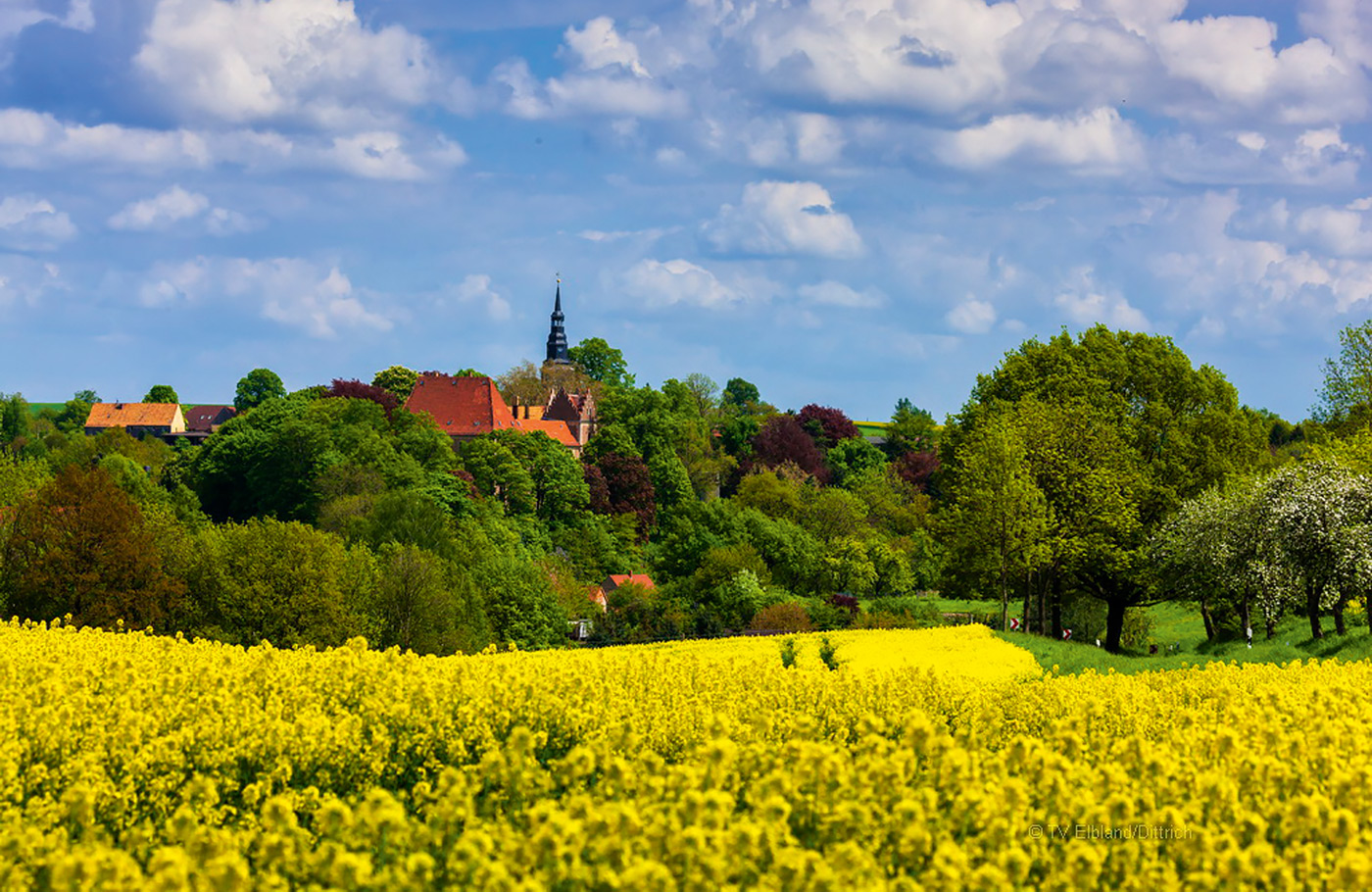 Per comfort-class touringcar van Maaskant Reizen naar Het Ertsgebergte en Saksische zilverroute Busreis Duitsland met o.a. Annaberg-Buchholz, Seiffen, Freiberg, Dresden, Schneeberg en Karlovy Vary