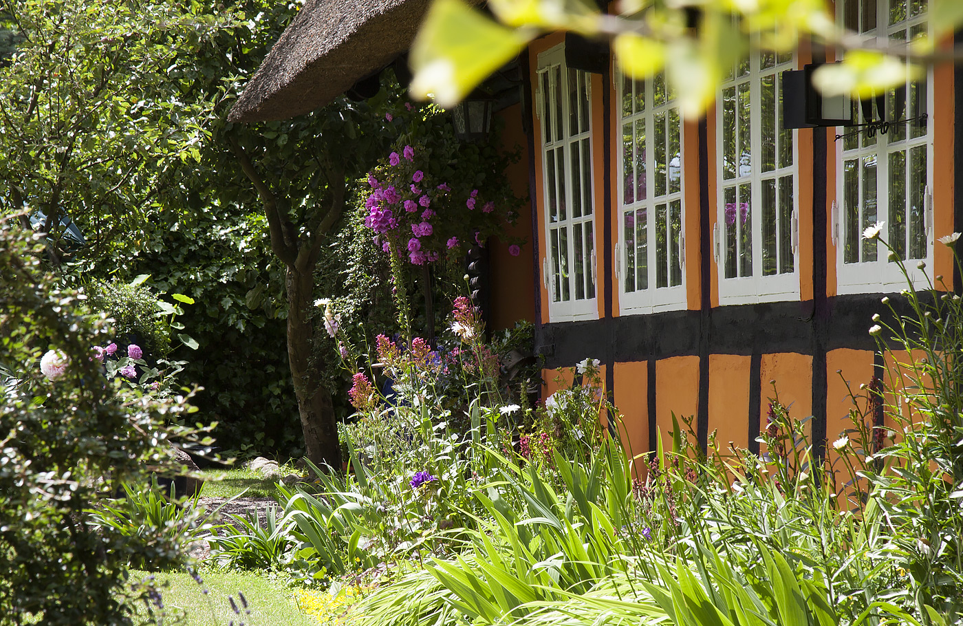 Rondreis Denemarken, Maaskant Reizen, Ribe, Aarhus, Odense, Kopenhagen